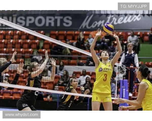 杭州排球队的节奏分析与战术探讨助力排球发展新篇章